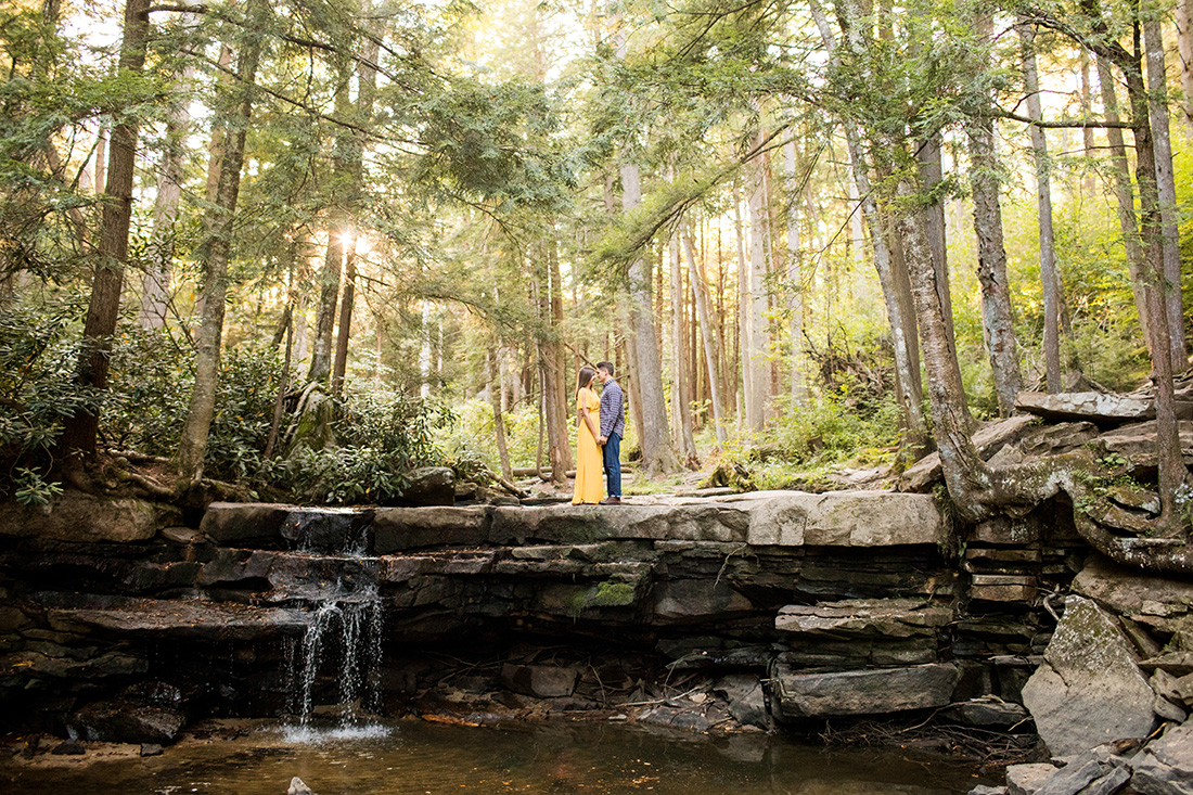 swallow falls engagement session