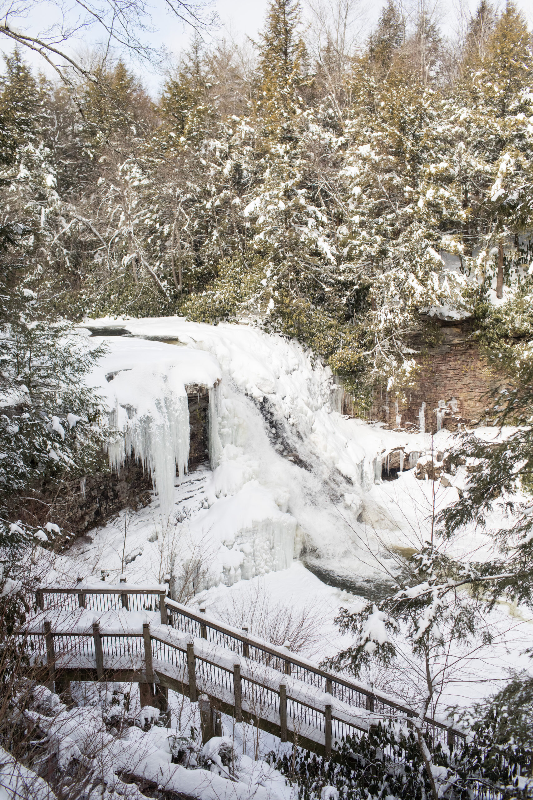 swallow falls state park in winter