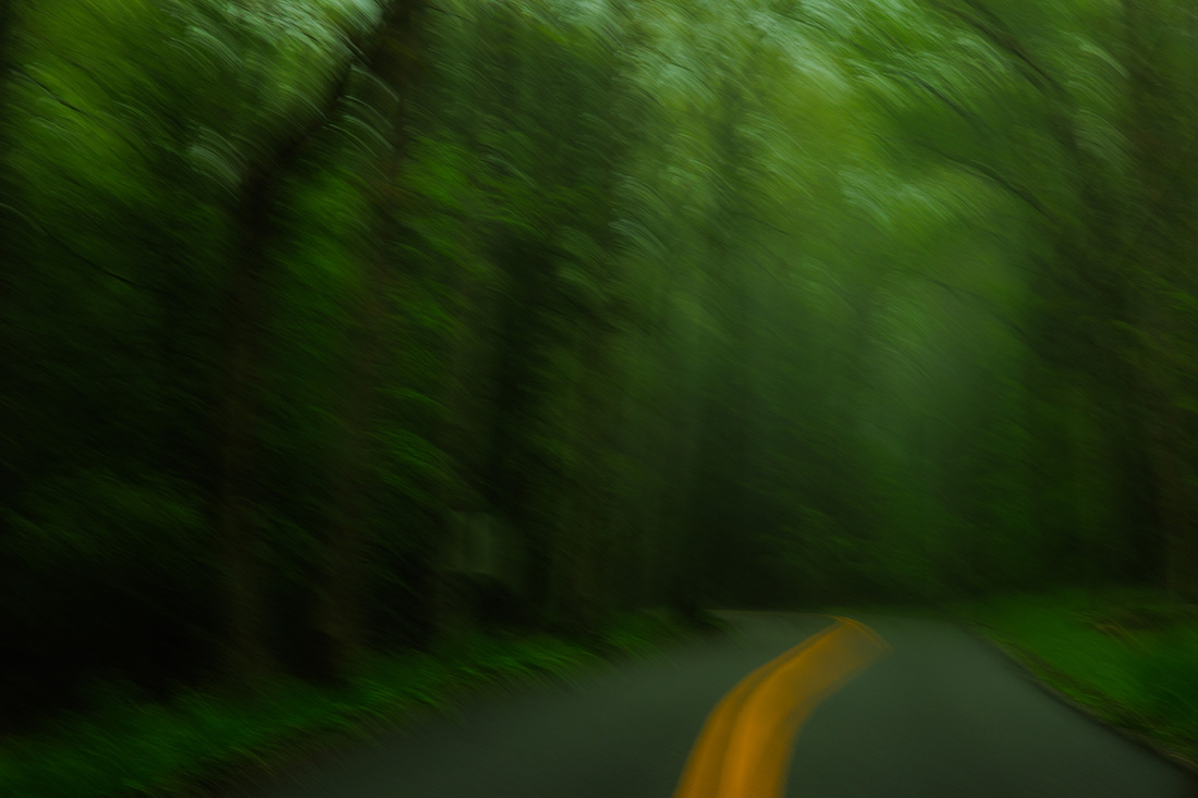 Foggy road at Deep Creek